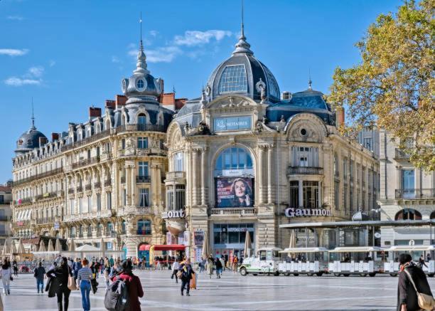 * F3 Haussmannien, Centre-Ville, 4 Pers, Wifi * Montpellier Dış mekan fotoğraf